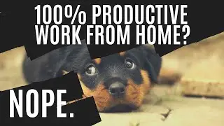 Software Engineer Productivity at Home