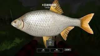 Russian Fishing 4｜Seversky Donets River－Trophy Taran｜北頓涅茨河－101⭐️亞速海擬鯉(1.326kg)