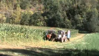 Ensilage à l'ancienne dans l'Aveyron (12)