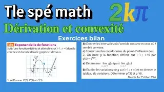 114p160 Étudier f puis g(x)=e^{f(x)} à partir d’un graphe : variations, convexité et limites