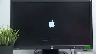 Wie setze ich die Einstellungen beim APPLE Mac mini M4 zur&uuml;ck?