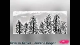 Now or Never - Jacko Hooper