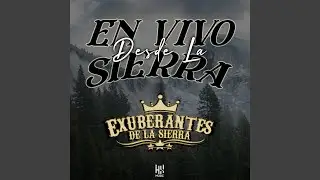 Popurri Zenaida Ingrata / Por El Ruido de la Cinta / El Guero Colorado (En Vivo)