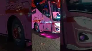 BUS IMAS PUTRA #busbasuri #buspariwisata #busmania