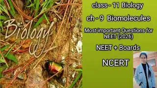 Class 11 Biology ch - 9  Biomolecules  | All important questions practice for NEET + Boards  | 💯