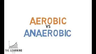 Aerobic vs Anaerobic Respiration | High School Biology Explained