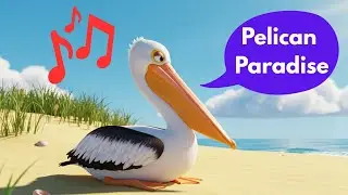 Pelican Paradise / Kids' Songs / Animal Songs for Kids / Whiskers & Whistles