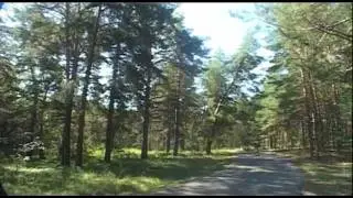 Фрик / Freak 2011 (Короткометражный фильм / short film 480p)