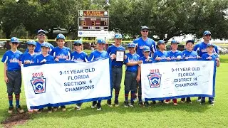 🏆Winter Garden Little League Baseball All Stars 11U Section and District Champions