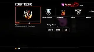 STATS | SETTINGS | EMBLEMS - BO2 PC