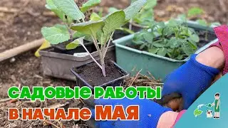 Садовые работы в начале мая