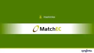 Inseticida MATCH EC&reg;