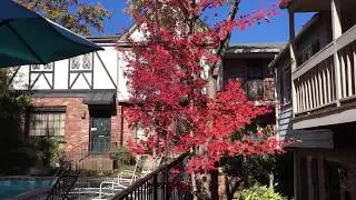 1919 Georgia Ave., Apt 2, Little Rock AR 72207 - Mid-Town LR 2br condo