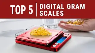 Best Digital Gram Scales: for Accurate and Precise Measurements