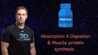 The ANABOLIC window ( Protein Absorption X Digestion),  ft.Dr.Eric Helms.