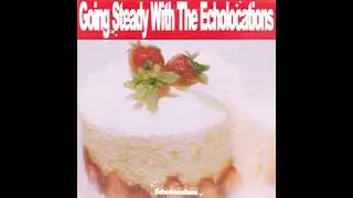 Cry In My Car - The Echolocations