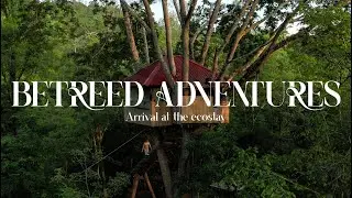 BeTreed Adventures: Your Eco-Escape in Cambodia