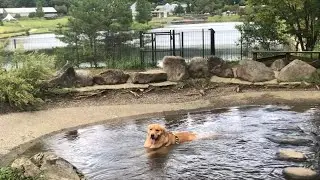 エンゼルフォレスト白河高原にご褒美旅行