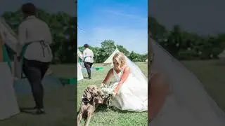 POV: You plan a summer wedding... | Great British Tents