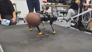[RL] Quadruped Blind Slow Trot Disturbance Test with Reinforcement Learning in 