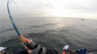 Measure Twice, Keep Once! Late Fall Western LI Sound Tog Kayak Fishing with @PeterRanieriII