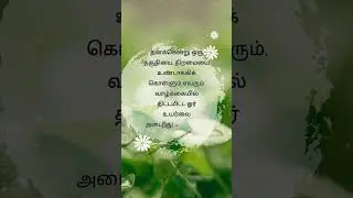உயர்வு என்பது வாய்ப்பில் அல்ல || Tamil Motivational Quote||Life Lesson #shorts