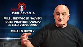 Mihajlo Ulemek - Mile Jerković je najveći ratni profiter, ojadio je celu Vojvodinu!