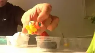 not play doh, Soft modeling, small animals, гибкий и мягкий моделирование для детей, 灵活和柔软的造型为孩子们