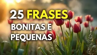 25 FRASES BONITAS E PEQUENAS