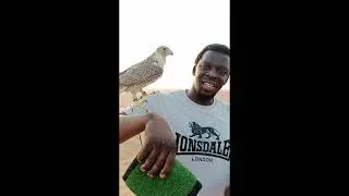 Exploring middle east desert