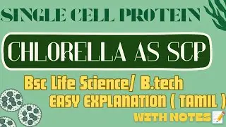 Chlorella Explained | SCP Production, Nutrition & Cultivation Methods for BSc & BTech #chlorella