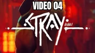 Stray  - Video 04