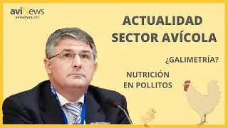 José Ignacio Barragán nos PONE AL DÍA sobre la REACCIÓN ante la CRISIS⚠️  en el SECTOR AVÍCOLA🐔