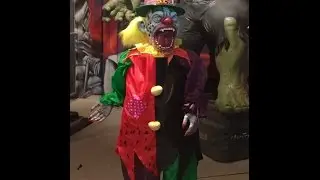 Rubie's Halloween Costume