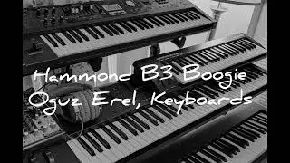 Hammond B3 Boogie