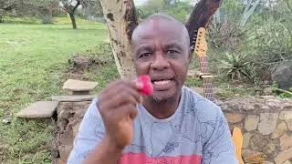 African heritage house