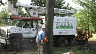 Meet Tree Removal Bucks County Pa Pros 215-672-7444 Tree Removal Bucks County Pa