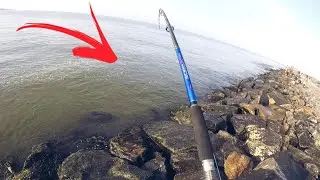 കിട്ടിയ മീനിനെ ഞാൻ കൊടുത്തു 🎣🐟|| kerala harbour fishing video (psycho angler)