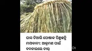 Senior citizens vote arrangements, CBI caught    income tax officer, Grass wearing Atank badi