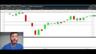 Stock Market Review: New Bull Market or Bear Market Rally?