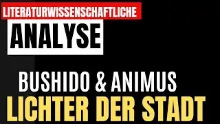 BUSHIDO & ANIMUS: Lichter der Stadt - Literaturwissenschaftliche Analyse