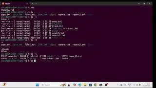 Learn Linux File System Navigation Commands in 2 Minutes | pwd, ls, cd, man Explained for Beginners