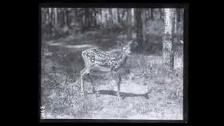 Exploring Minnesota's Natural History