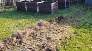 مبتدئ في الزراعه صديق الصفحه بده يزرع حديقته في المانيا.