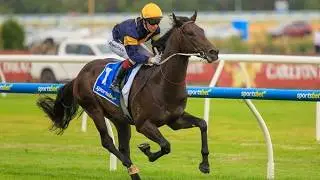 Я нашел один за 61 доллар! | Предварительный обзор скачек Blue Diamond Stakes 2026!