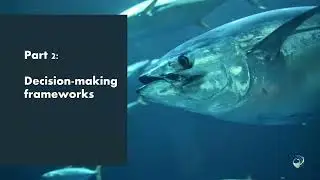 Decision-Making Process within Regional Fisheries Management Organizations (RFMOs).