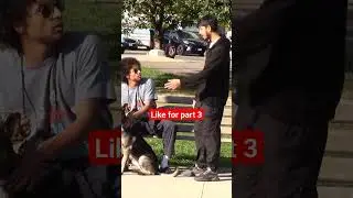 Мужчина пытается украсть собаку, часть 2 #шорты