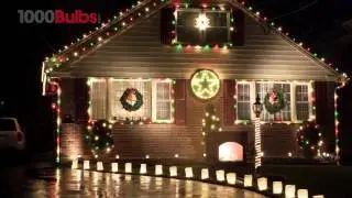 35 Mini Lights - 11.5-Ft. Stringer - White Wire - Red - Commercial Duty
