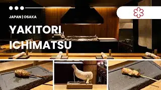 🇯🇵 [Yakitori Ichimatsu] 1 MICHELIN starred yakitori fine dining | Japan &ndash; Osaka