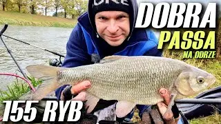 450 DOBRA PASSA! PŁOCIE, JAZIE, LESZCZE -  KANAŁ POWODZIOWY i KONTROLA.